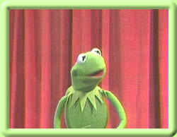 Kermit the Frog on TV